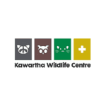 Kawartha Wildlife Centre (KWC)