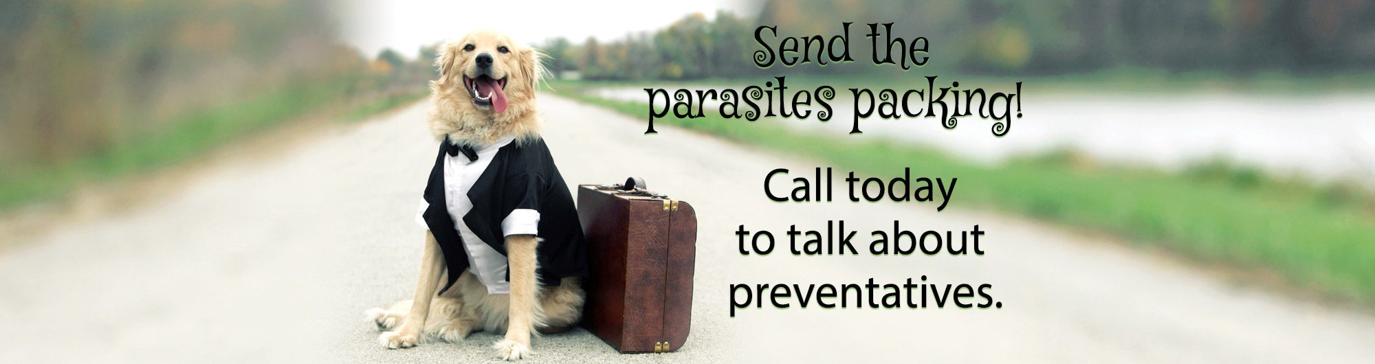 Vet Clinic in Peterborough & Cavan Monaghan, ON Animal Hospital