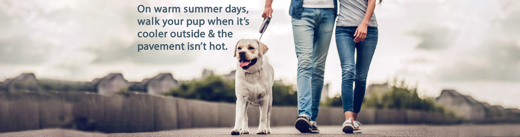 Vet Clinic in Peterborough & Cavan Monaghan, ON Animal Hospital