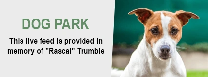 Dog Park - This live feed is provided in memory of "Rascal" Trumble